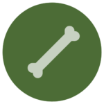 A green circle icon with a white bone in the middle.