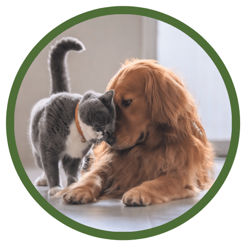 EarthWise Pet Cat and Dog