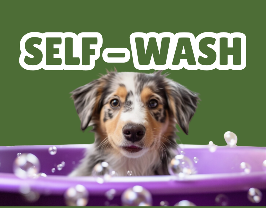 An image of a dog in a purple bath with bubble and text that says Self-Wash